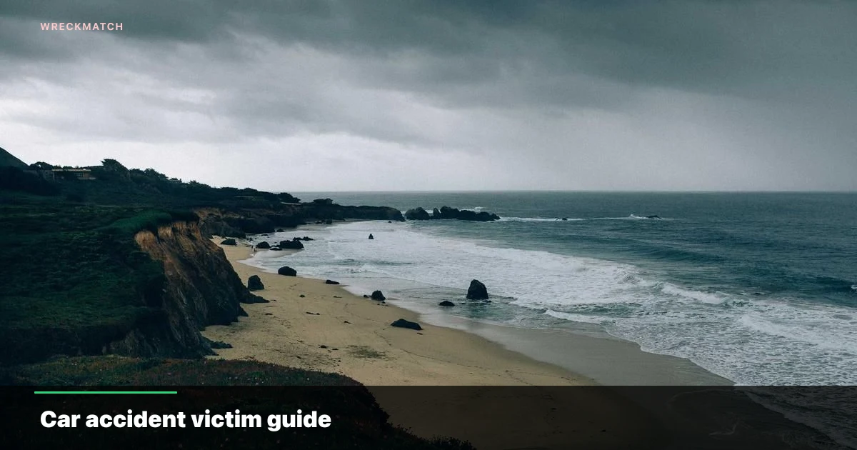 Car accident victim guide — WreckMatch