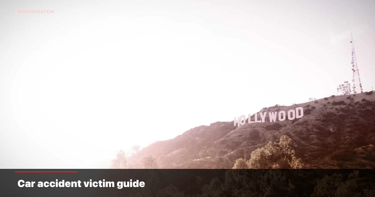 Car accident victim guide — WreckMatch