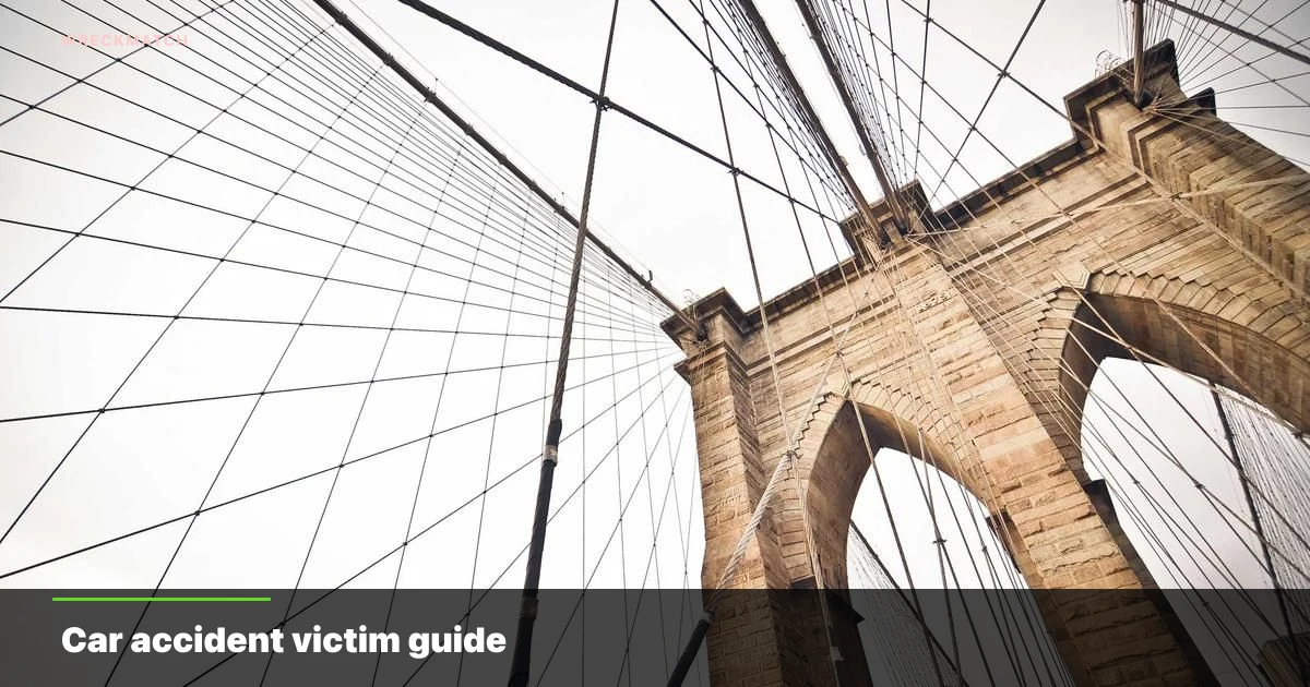 Car accident victim guide — WreckMatch